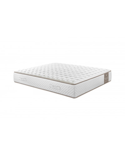 Vanguard Mattress