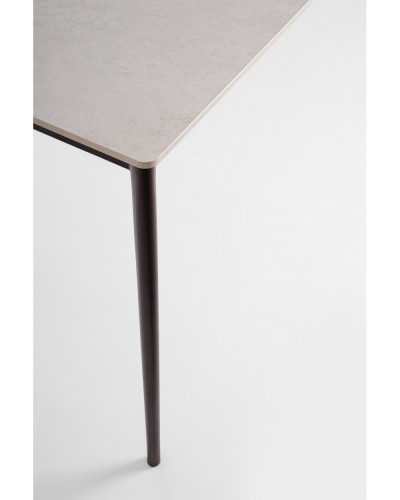 Reija Rust Dining Table